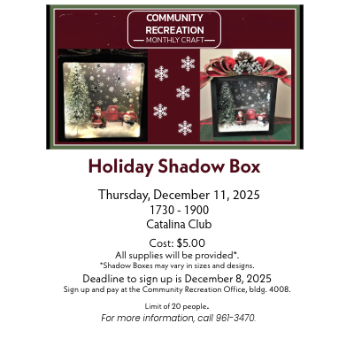 Holiday Shadow Box Craft-2-Newsletter.png